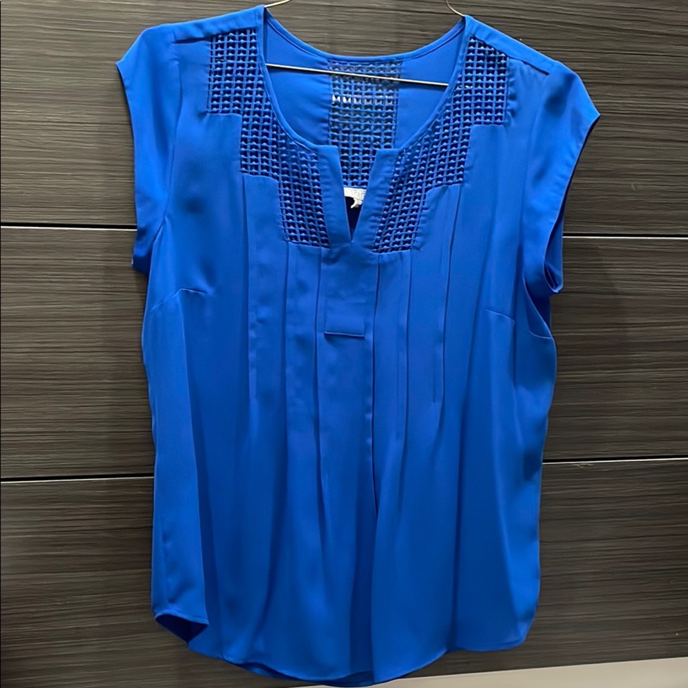 Daniel Rainn Blue Cap Sleeve Pleated Blouse